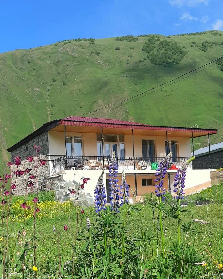 Cozy Hotel Kazbegi Kültér fotó